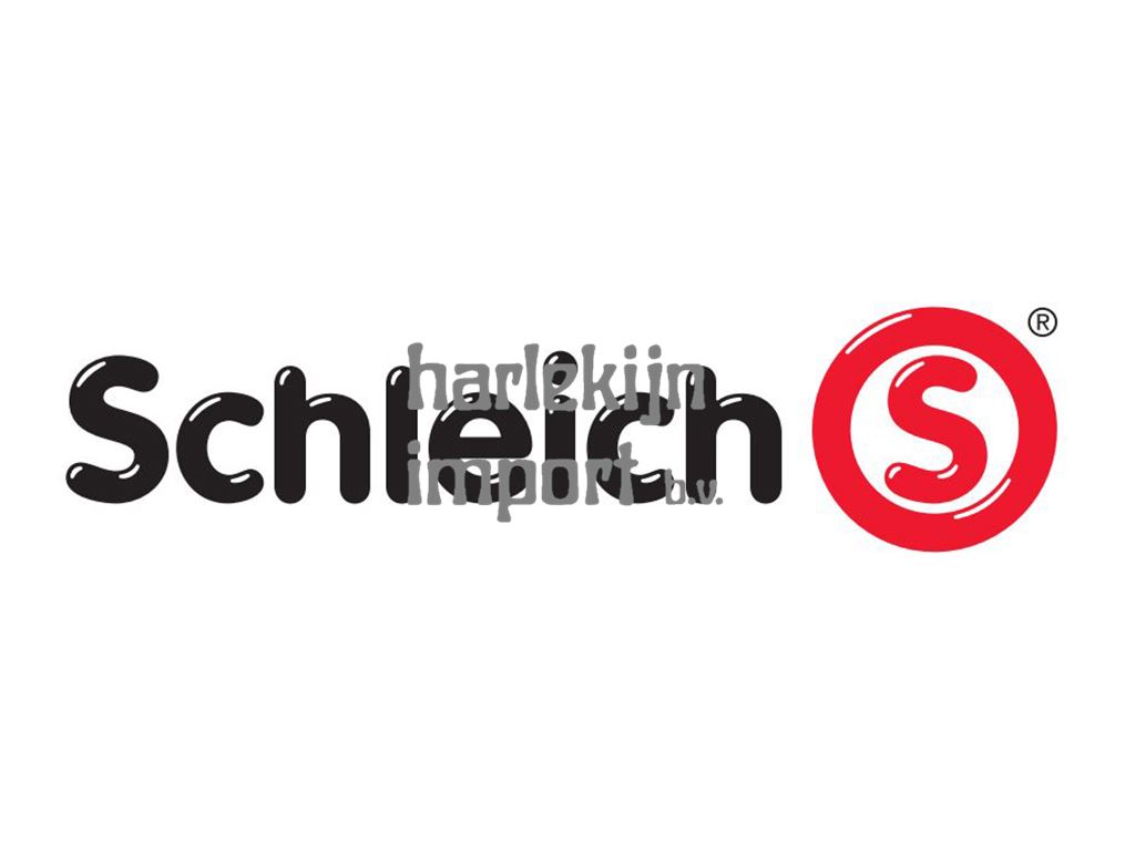 Schleich en Playmobil producten
