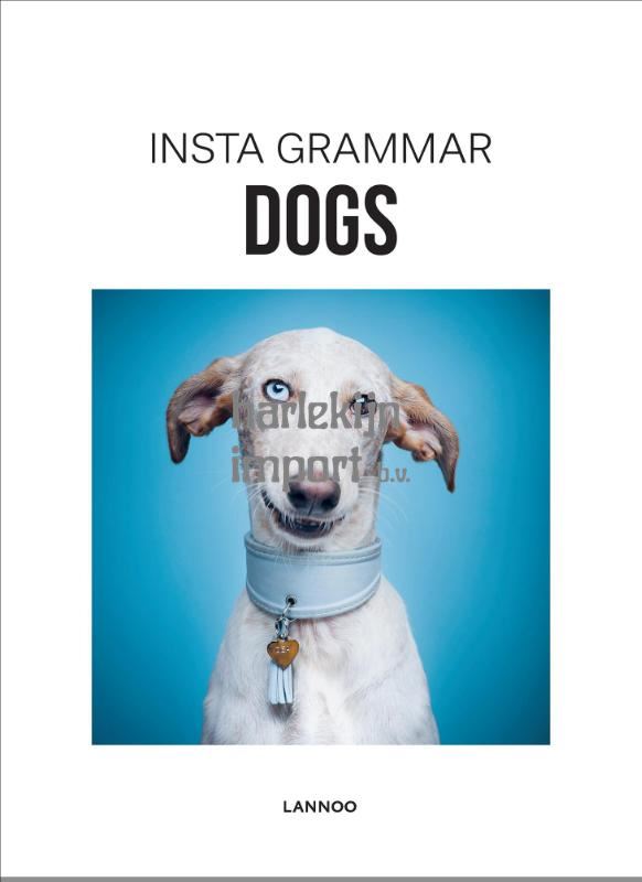 descriptionshort
